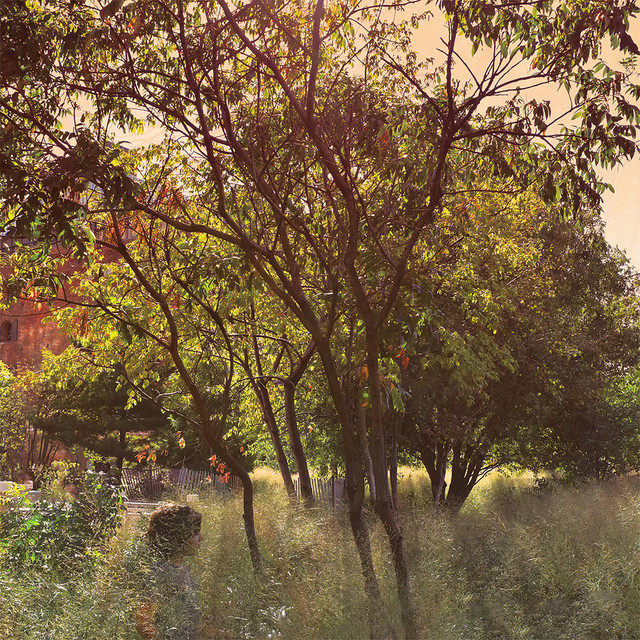 Tint album cover