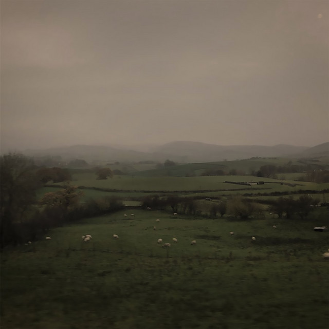 The Untuning Of The Sky album cover
