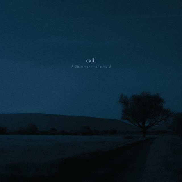 A Shimmer in the Void album cover