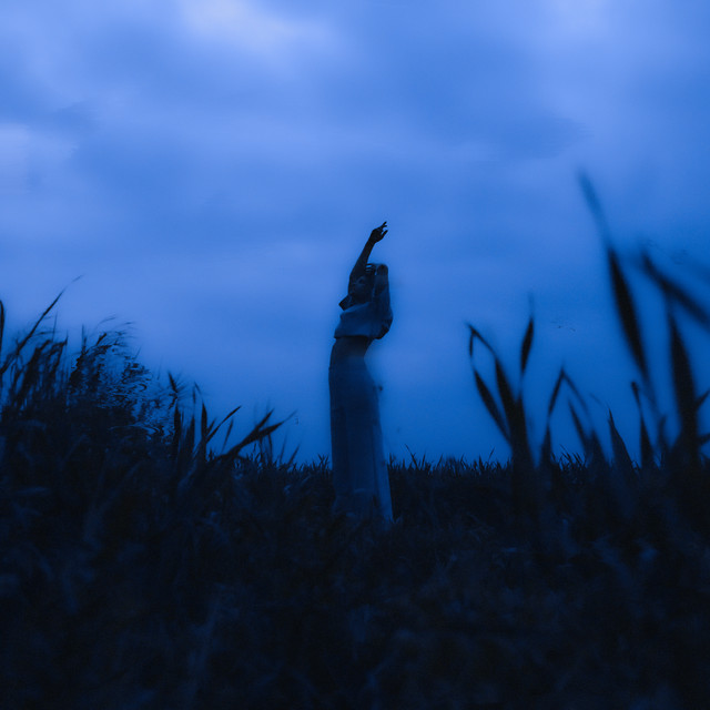 Dreamscape album cover