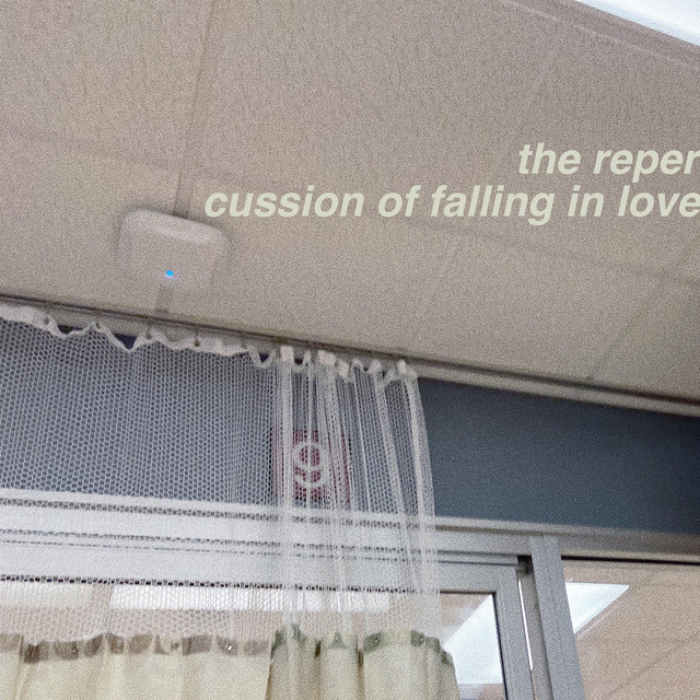 the repercussion of falling in love album cover