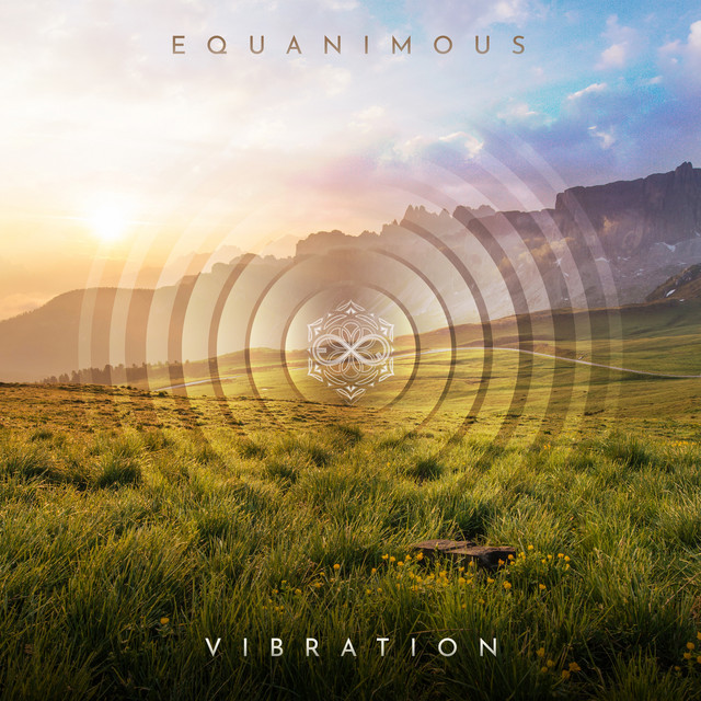 Vibration album cover