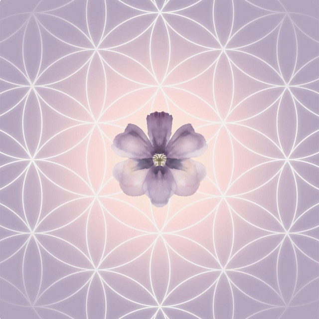 Flowers of Life album cover