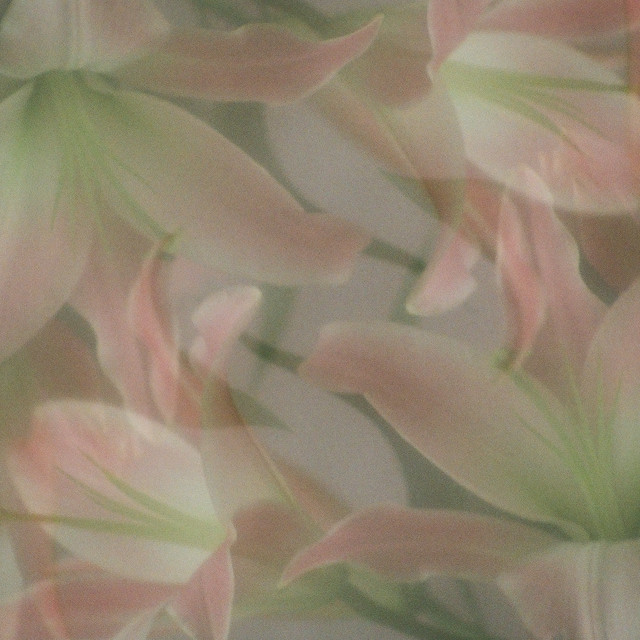 Harvest album cover