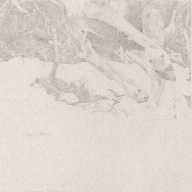 The Coachlight Woods album cover