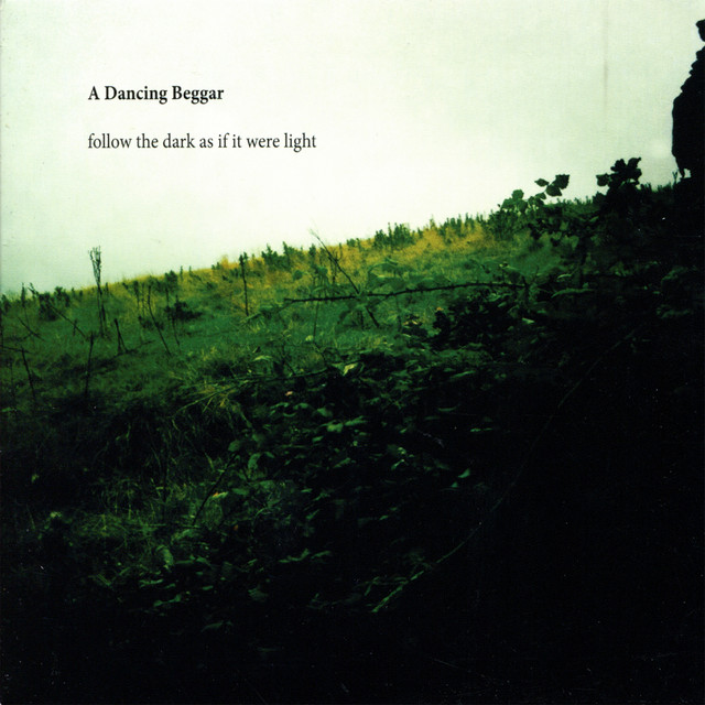 Follow The Dark as If It Were Light album cover