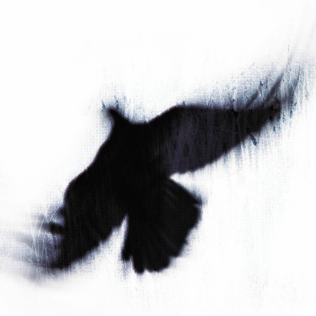 The Fallen Host album cover