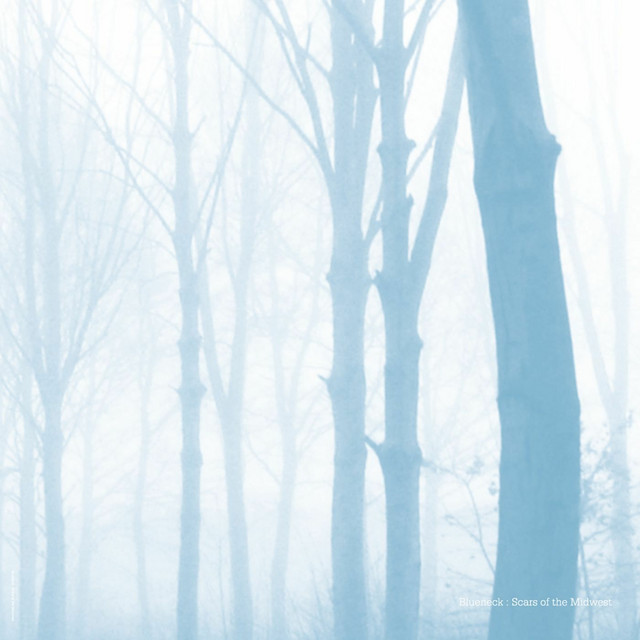 Scars of the Midwest album cover