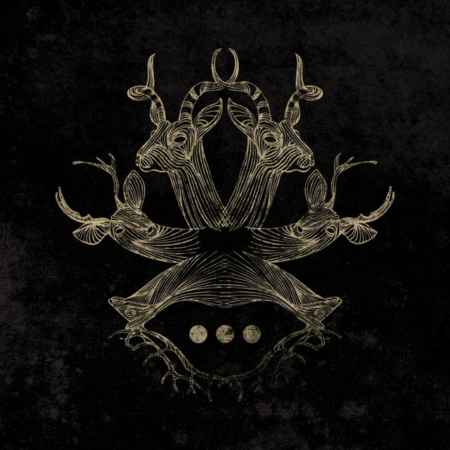 Repetitions album cover