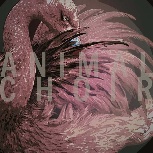 Animal Choir album cover