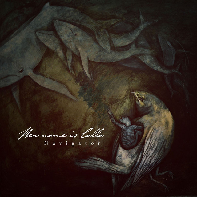 Navigator (Bonus Track Version) album cover