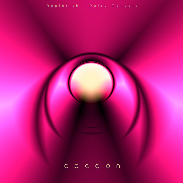 COCOON album cover