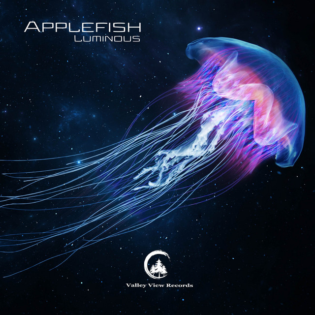 Luminous album cover