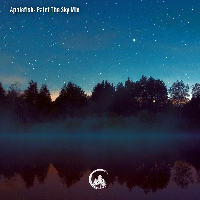 Paint the Sky Mix album cover