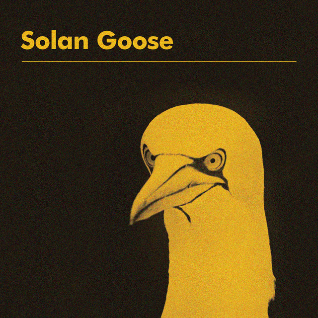 Solan Goose album cover