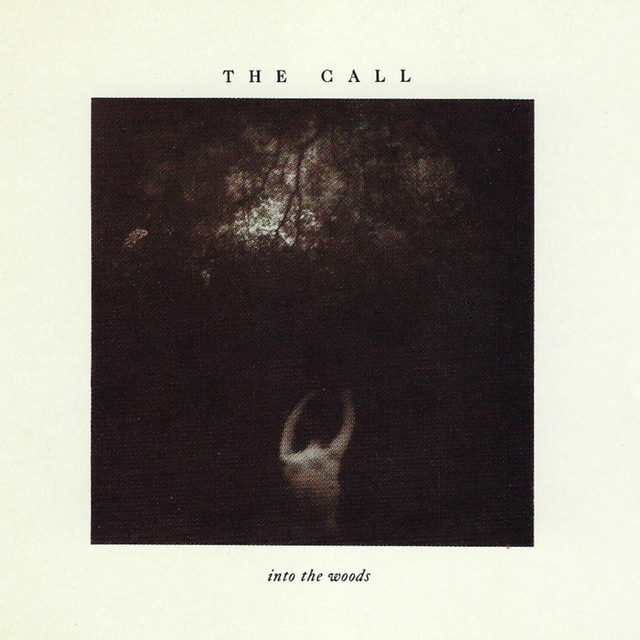 Into the Woods album cover