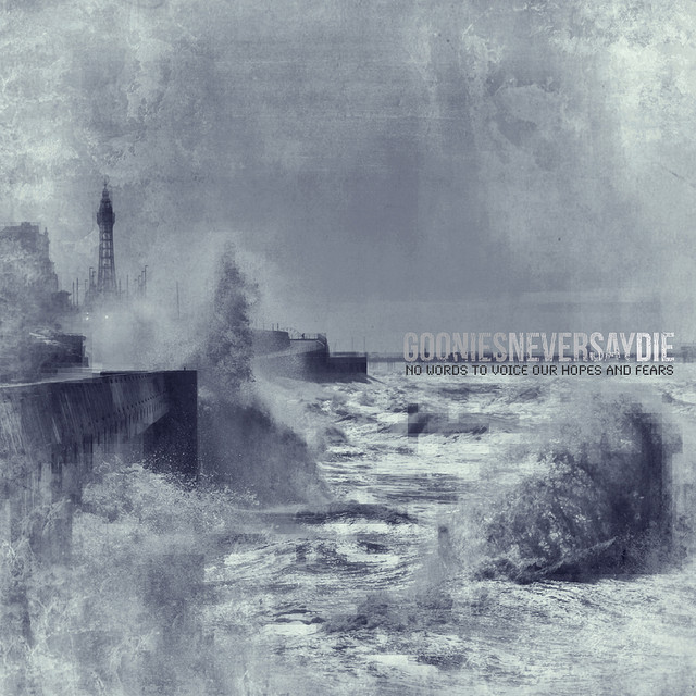 No Words To Voice Our Hopes And Fears album cover