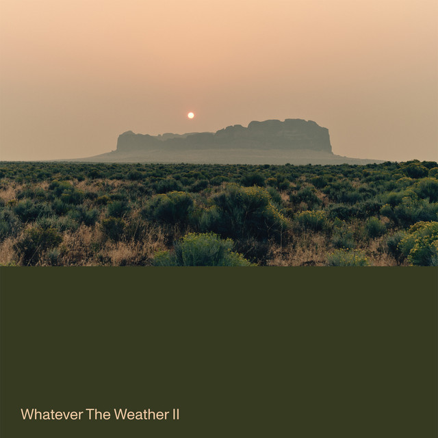 Whatever the Weather II album cover