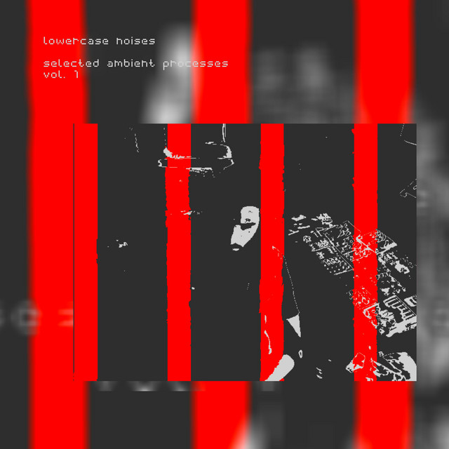 what the hell are we supposed to do now album cover