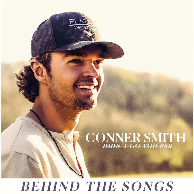 Didn't Go Too Far (Behind The Songs) album cover