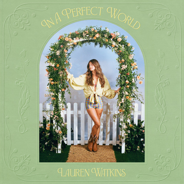 In A Perfect World album cover