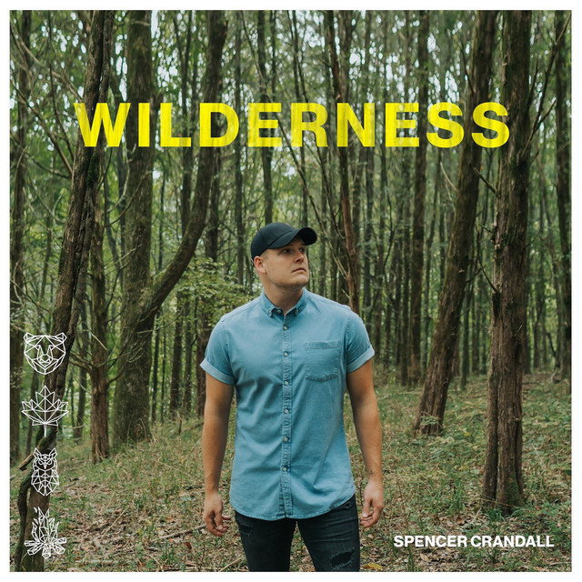 Wilderness album cover