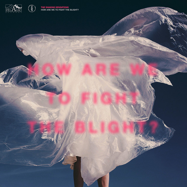 How Are We to Fight the Blight? album cover