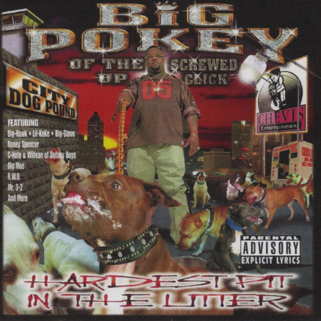 Hardest Pit in the Litter album cover