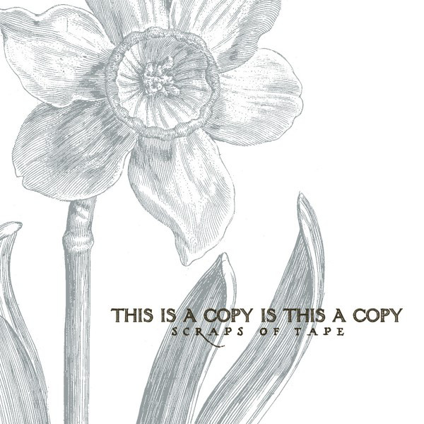 This Is a Copy Is This a Copy album cover