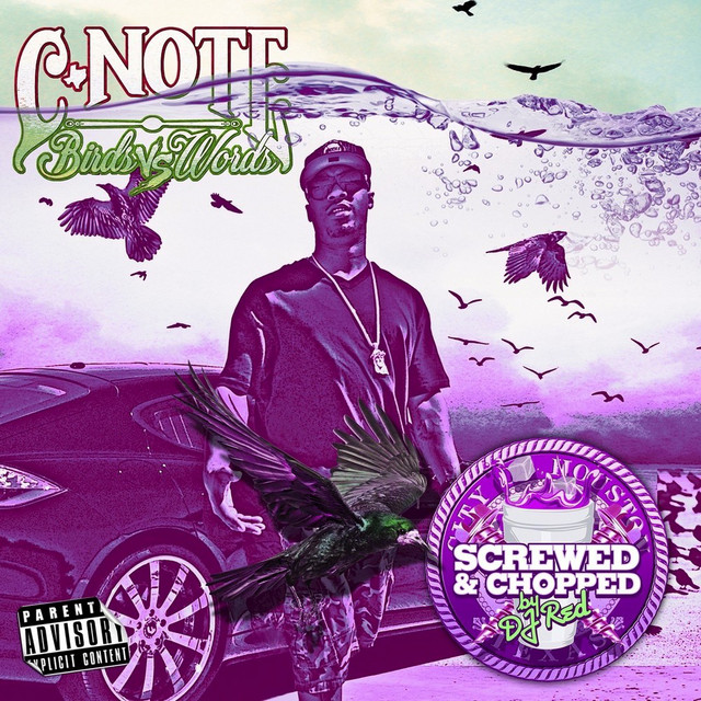 Birds Vs. Words: Screwed & Chopped album cover