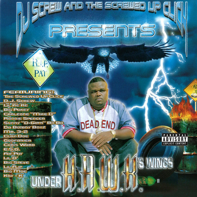 Under HAWK's Wing album cover