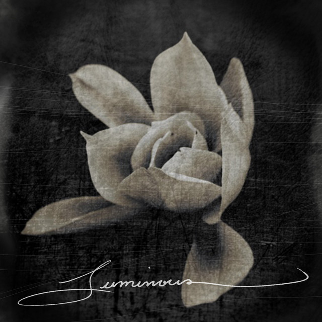 Luminous (Songs for Film and TV) album cover