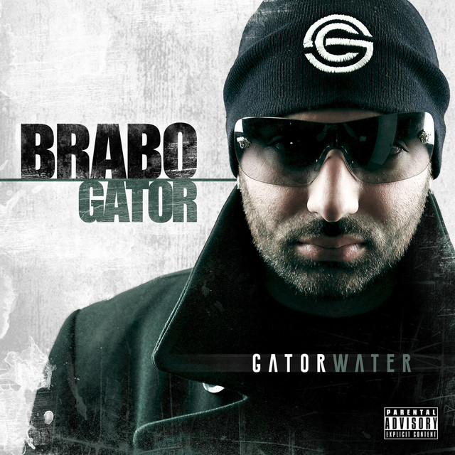 Gator Water album cover