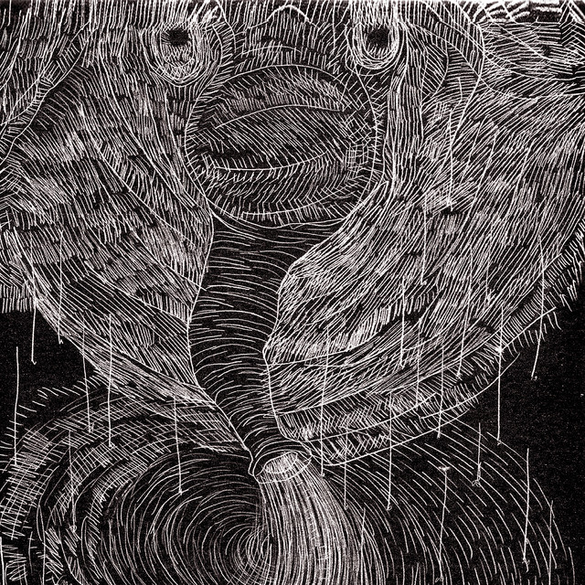 Alluvial Fan album cover