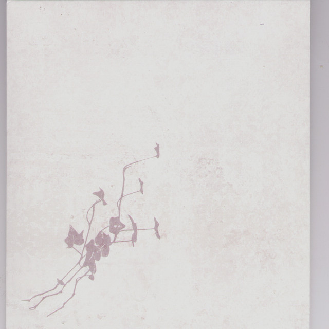 Light album cover