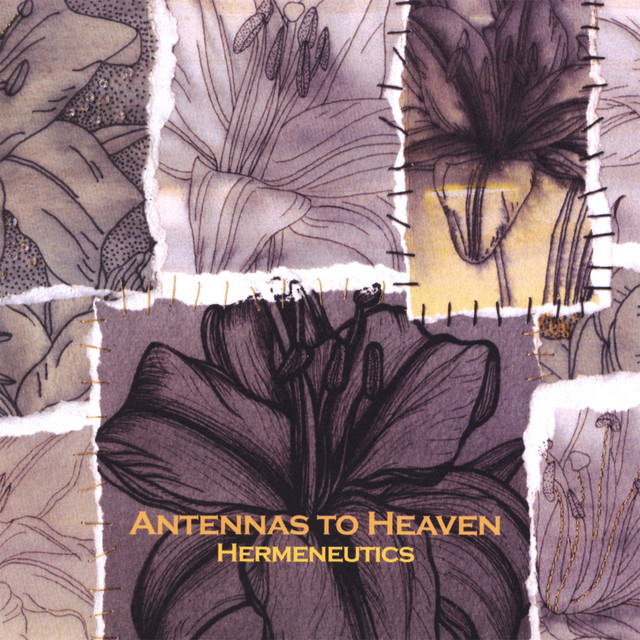 Hermeneutics album cover