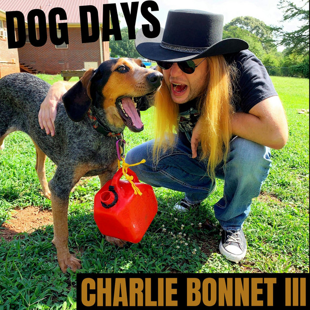Dog Days album cover