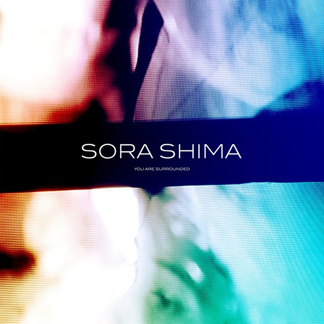You Are Surrounded album cover