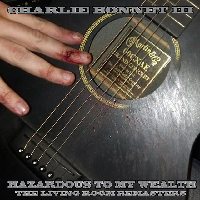 Hazardous to My Wealth (The Living Room Remasters) album cover