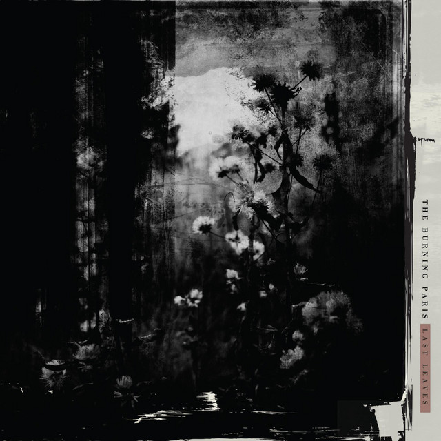 Last Leaves album cover