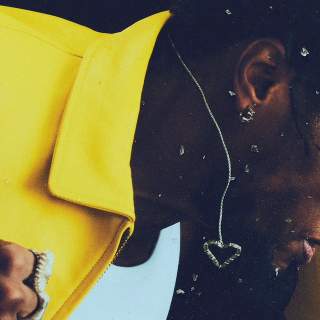 Paradise Now & Forever album cover