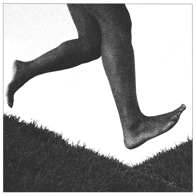 Which Way is Forward? album cover