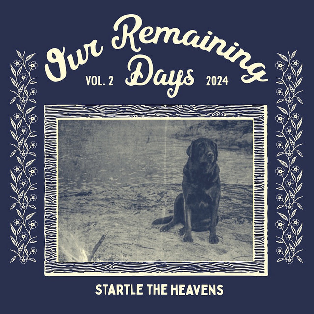 Our Remaining Days, Vol. 2 album cover