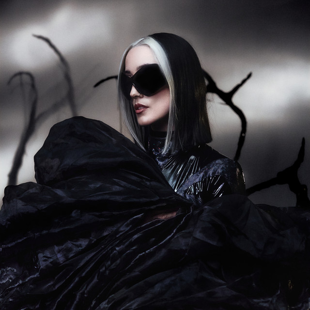 DUSK album cover
