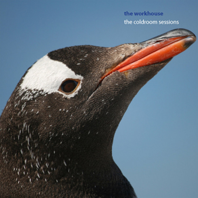 The Coldroom Sessions album cover
