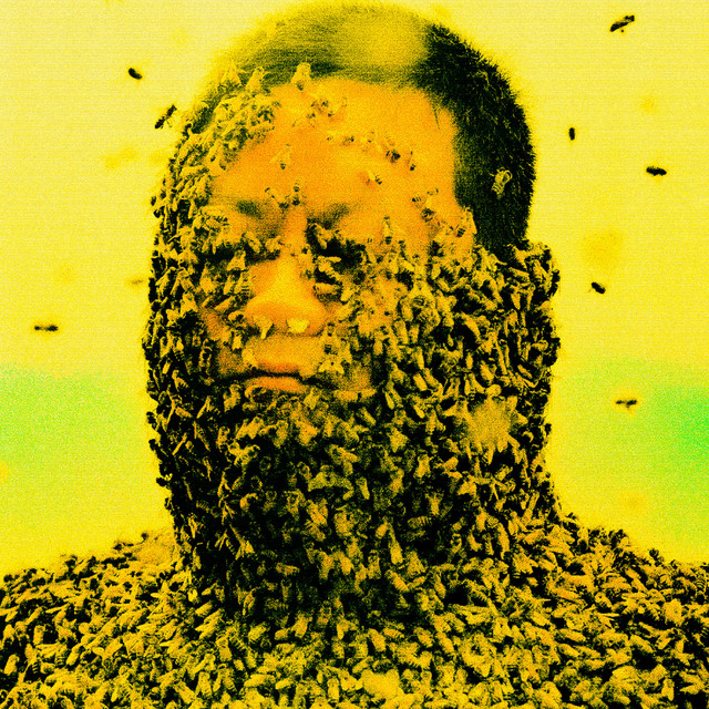 Pollination album cover