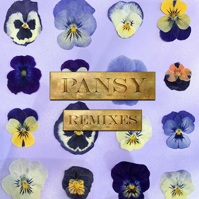 PANSY Remixes album cover
