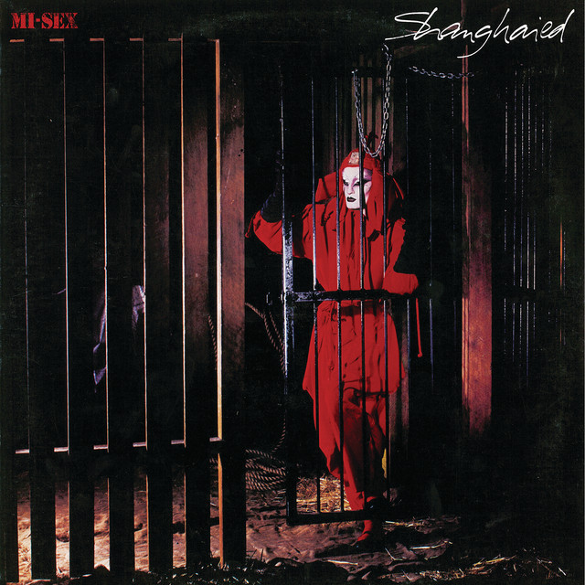 Shanghaied album cover