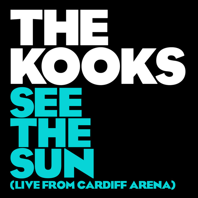 Roland AC-90 45Wx2 Acoustic Chorus Guitar Combo Amp as heard on See The Sun (Live From Cardiff Arena) by The Kooks (2017)