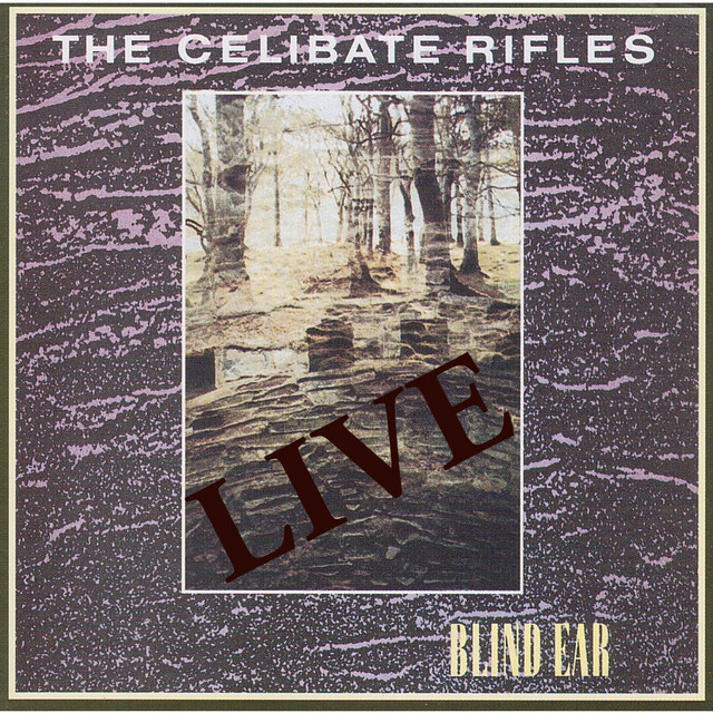 Blind Ear (Live) album cover